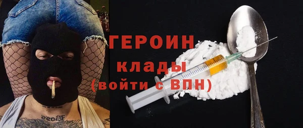 индика Алексин