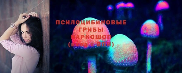 прущие грибы Няндома