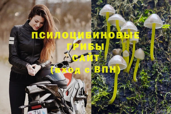 трава Алзамай