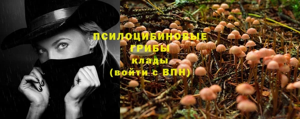 трава Алзамай